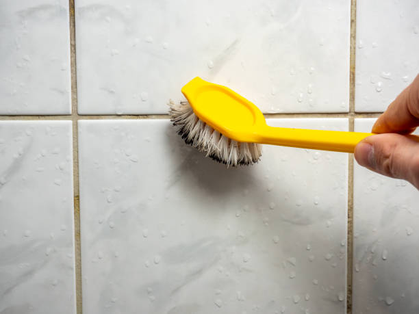 Best Preventive Mold Services in Mountain View Acres, CA